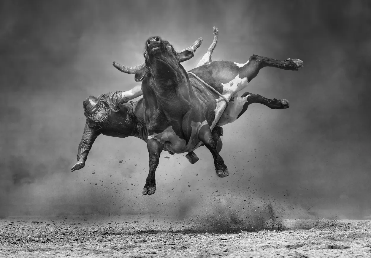 Bull Riding