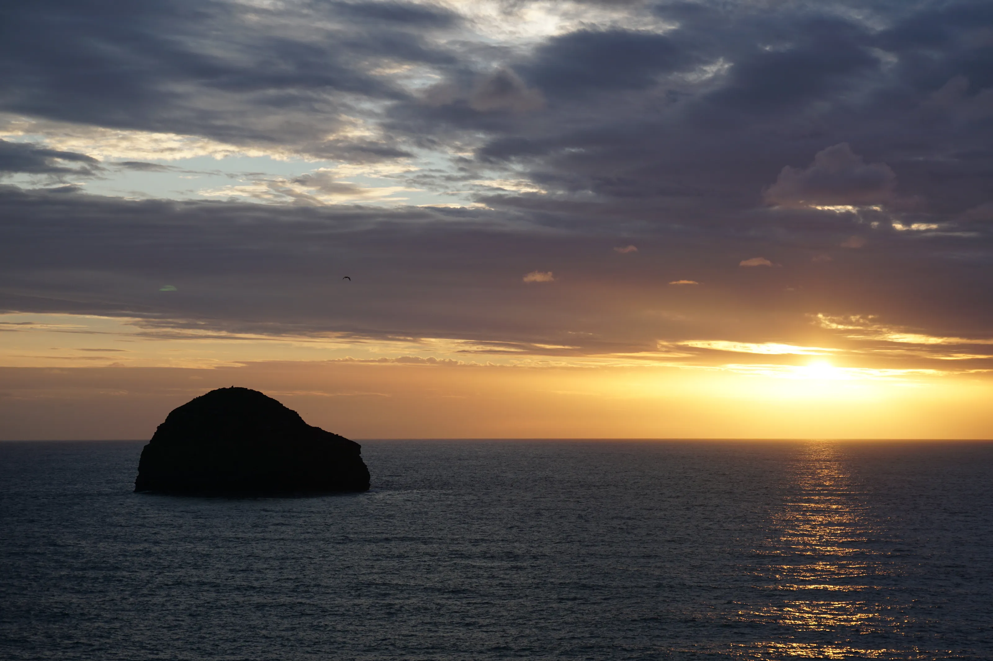 Island, Sun and a Bird