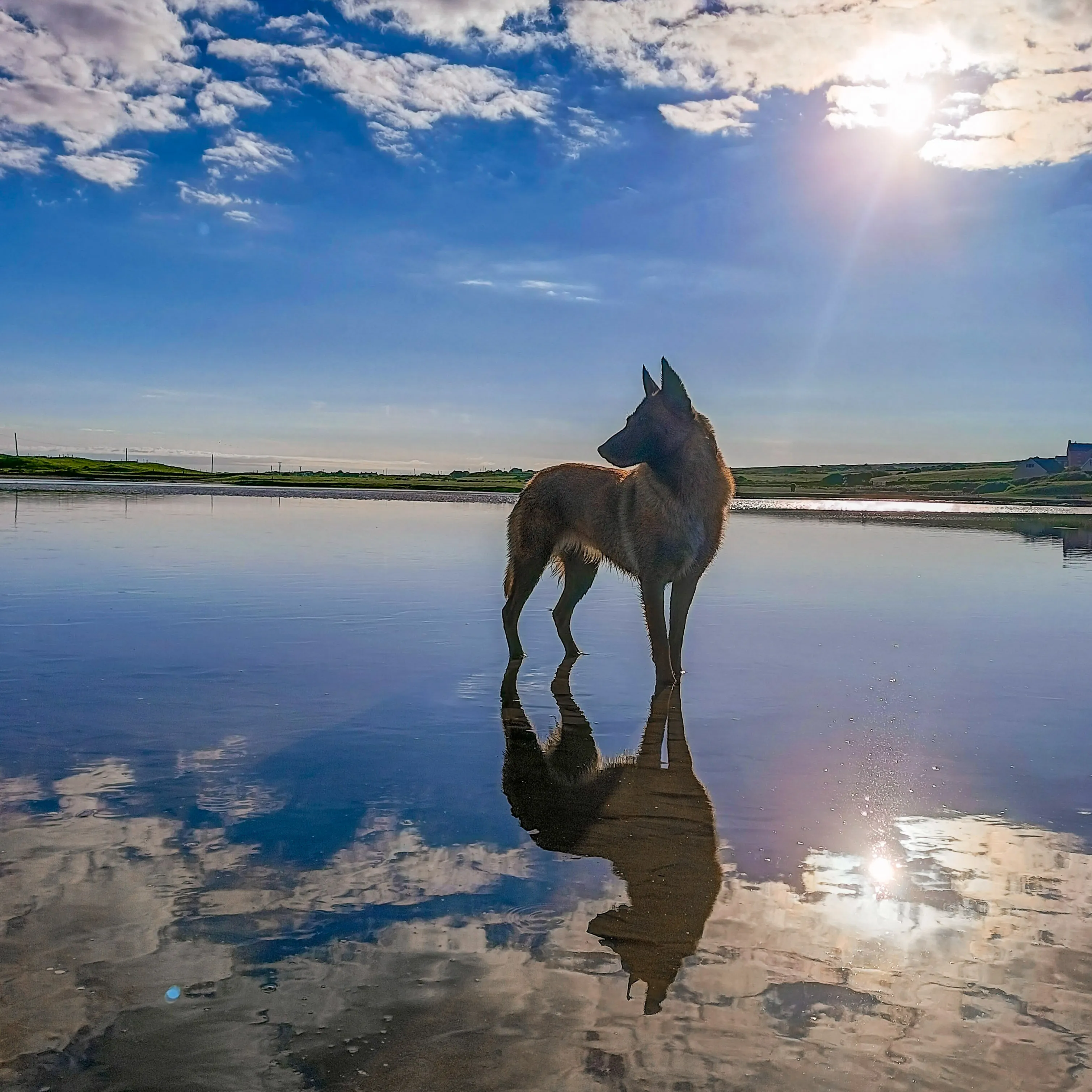 Reflection (look at it upside down 😊)