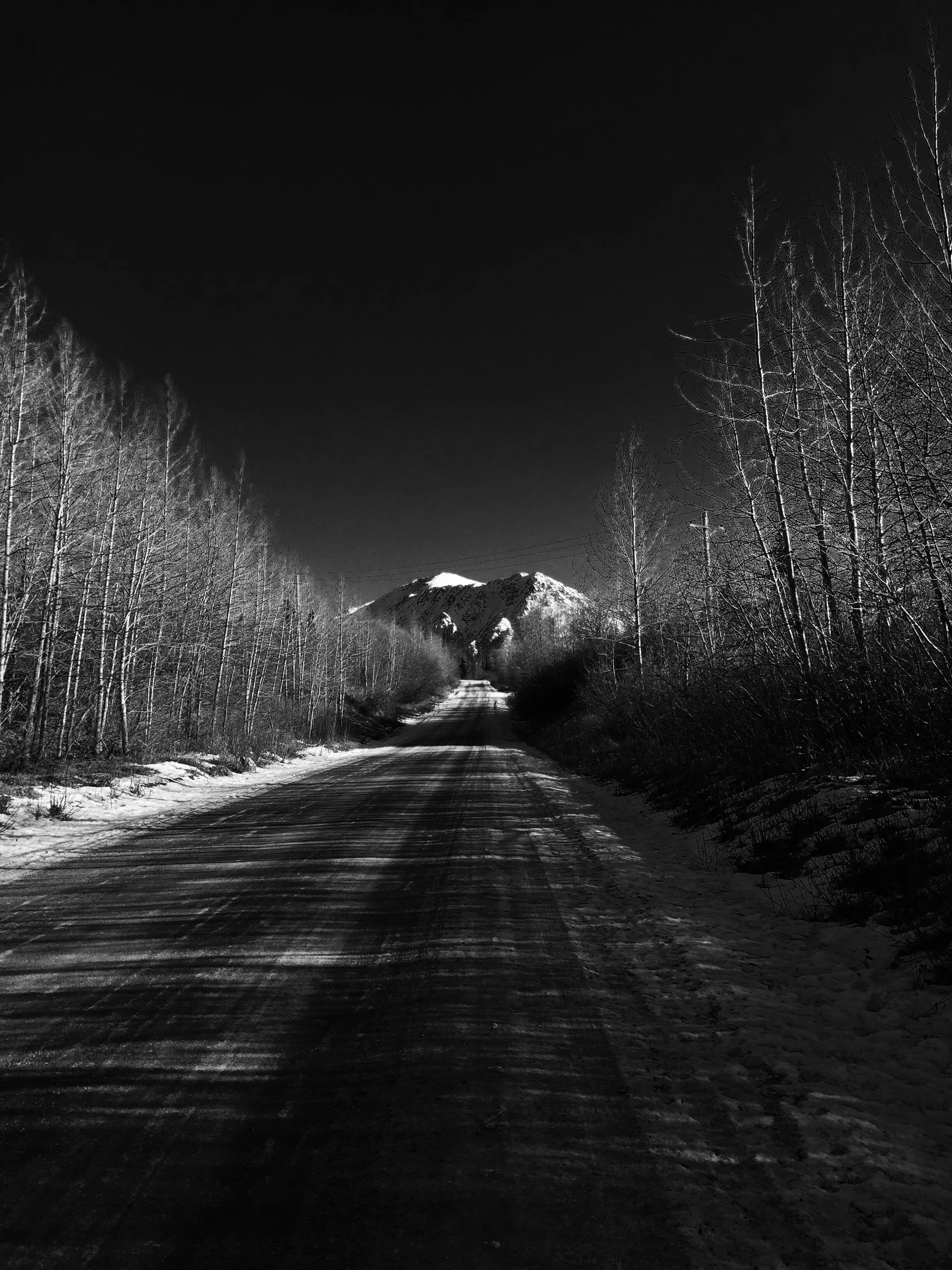 Alaska wilderness