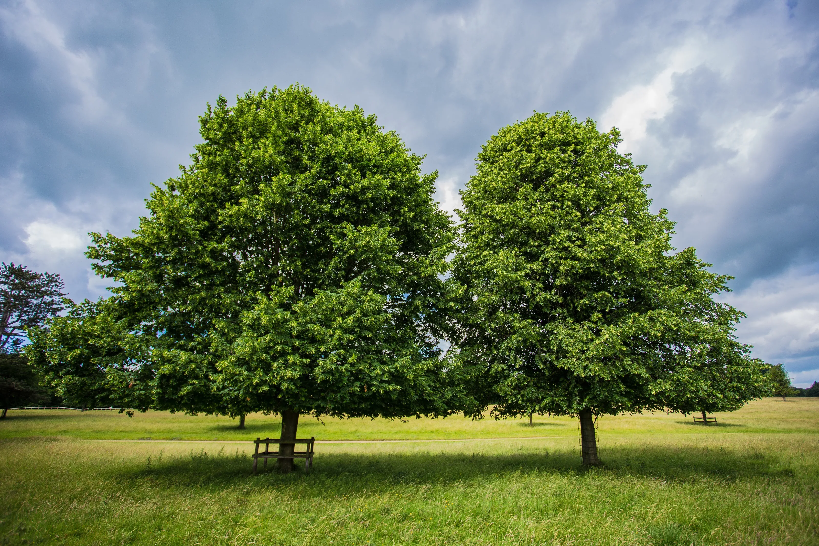 Tatton Park, UK
