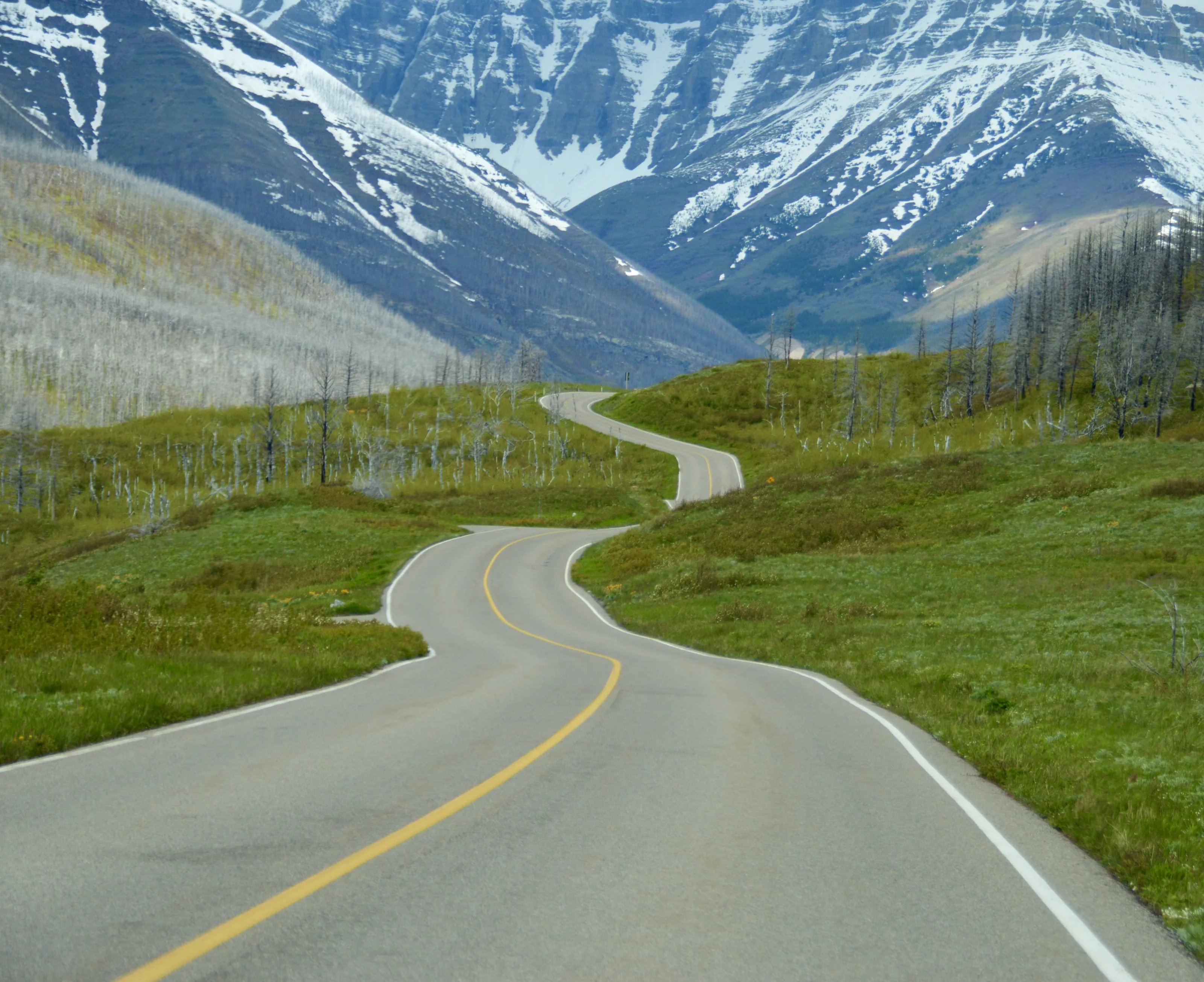 Road to Happiness