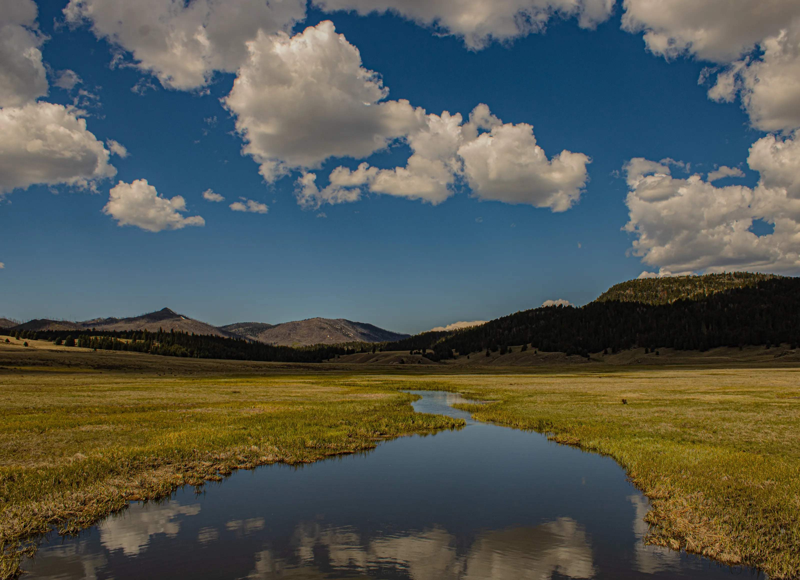 New Mexico Mountains