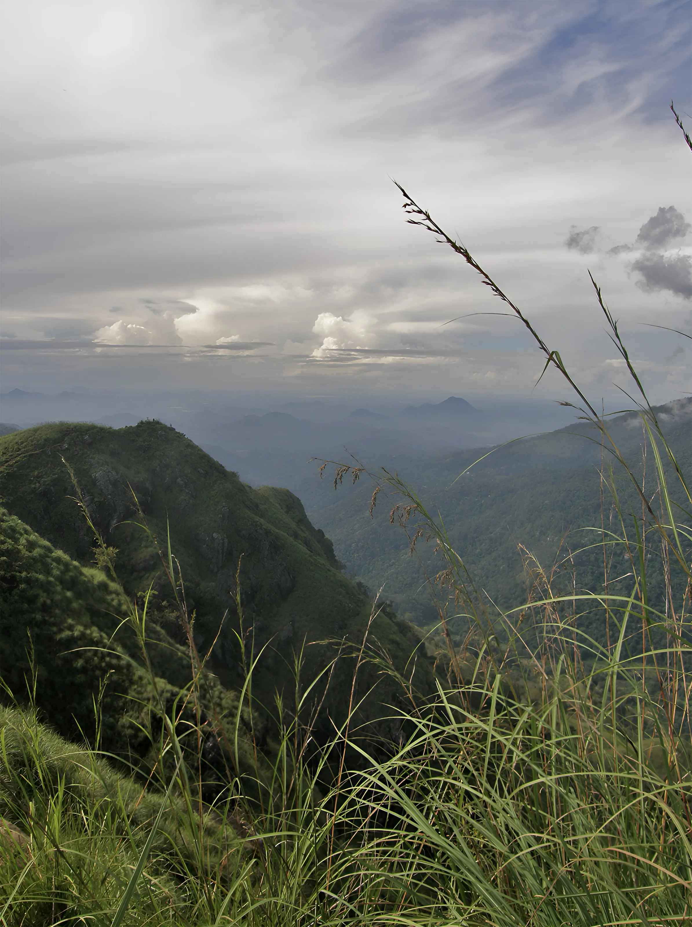 Traveling Shri Lanka