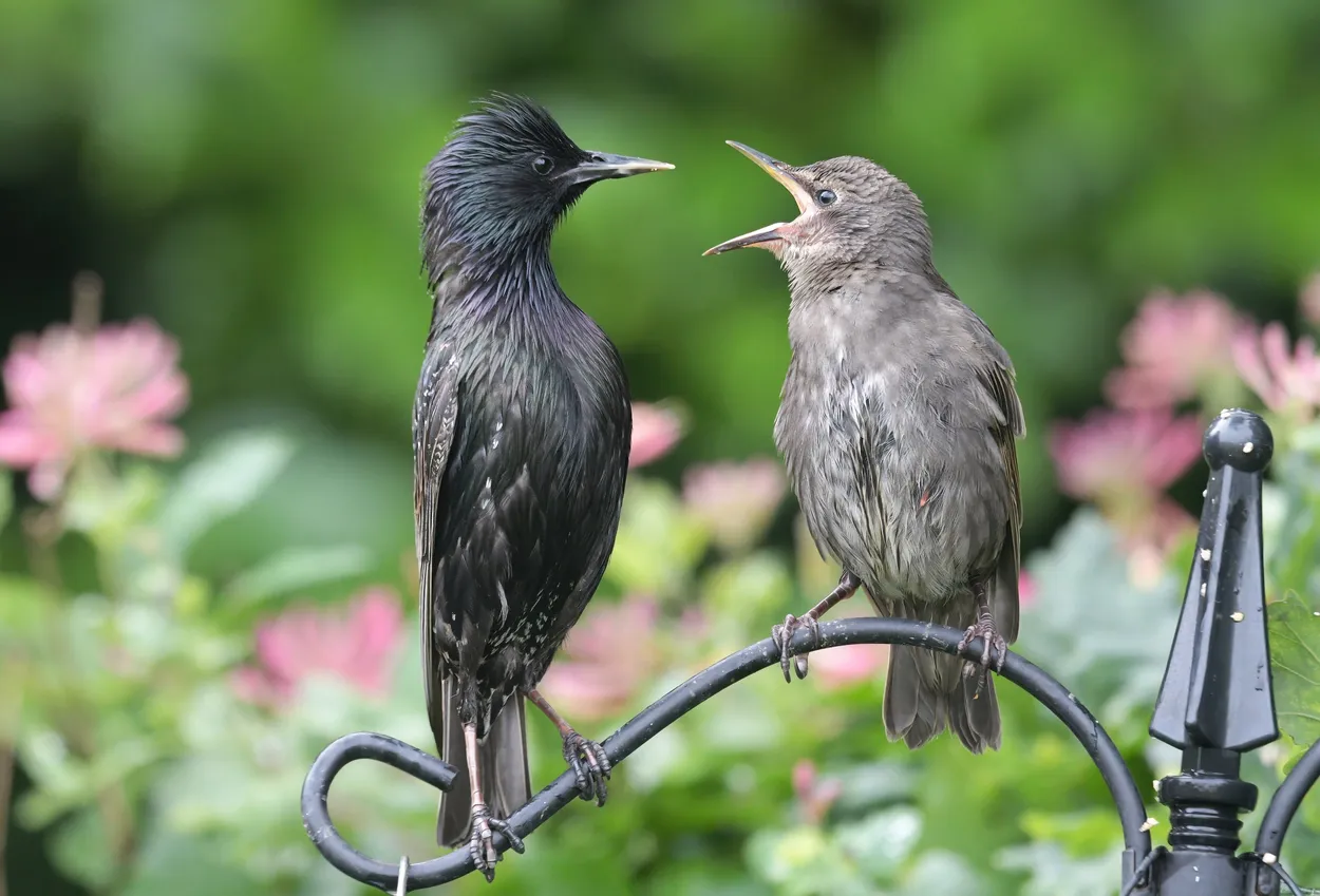 In conversation