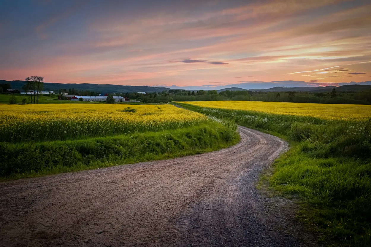 Entry 1059683