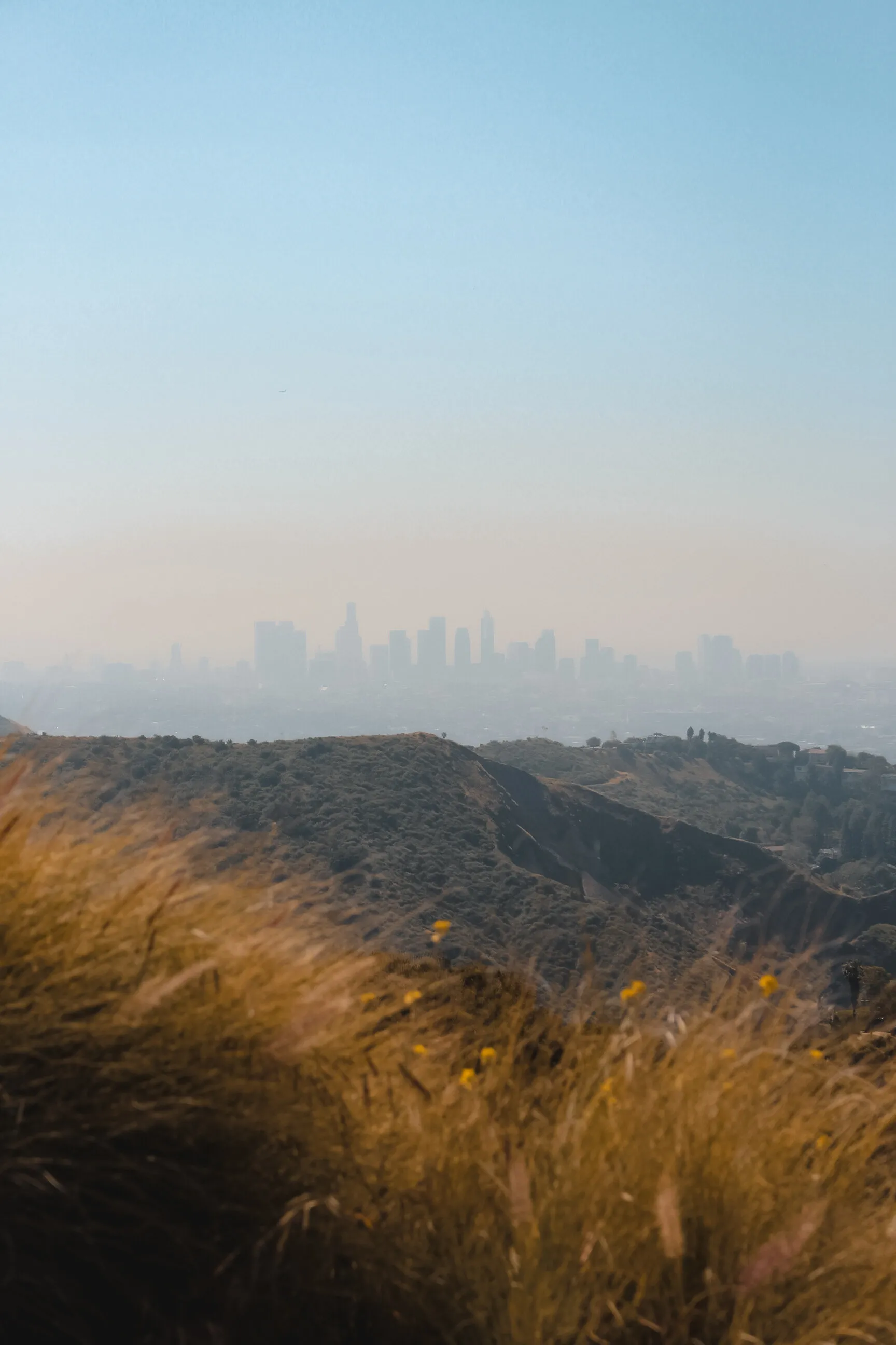 LA from afar