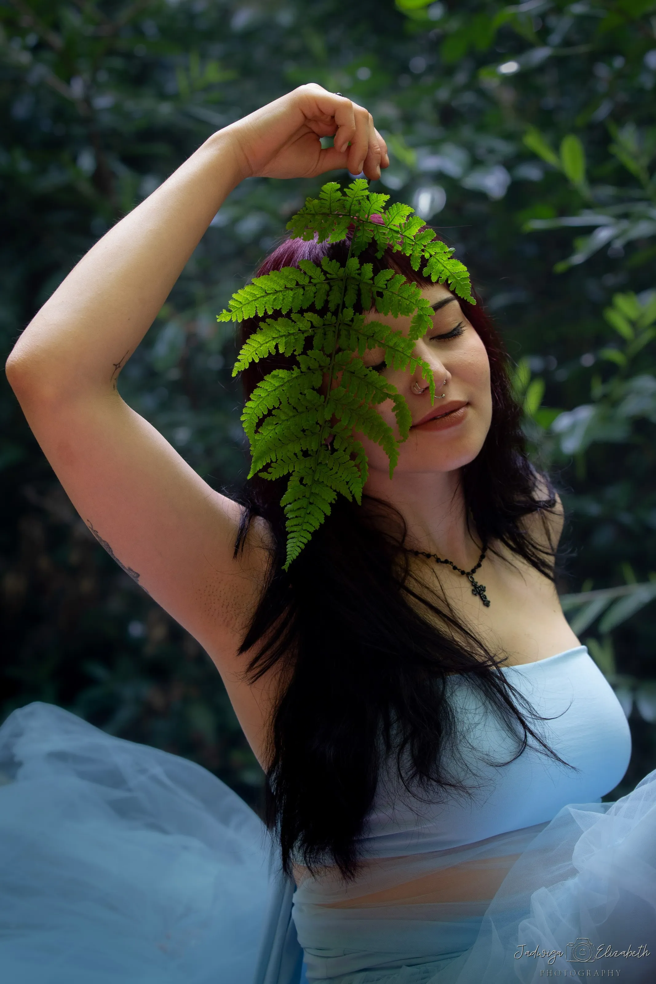 Banner image