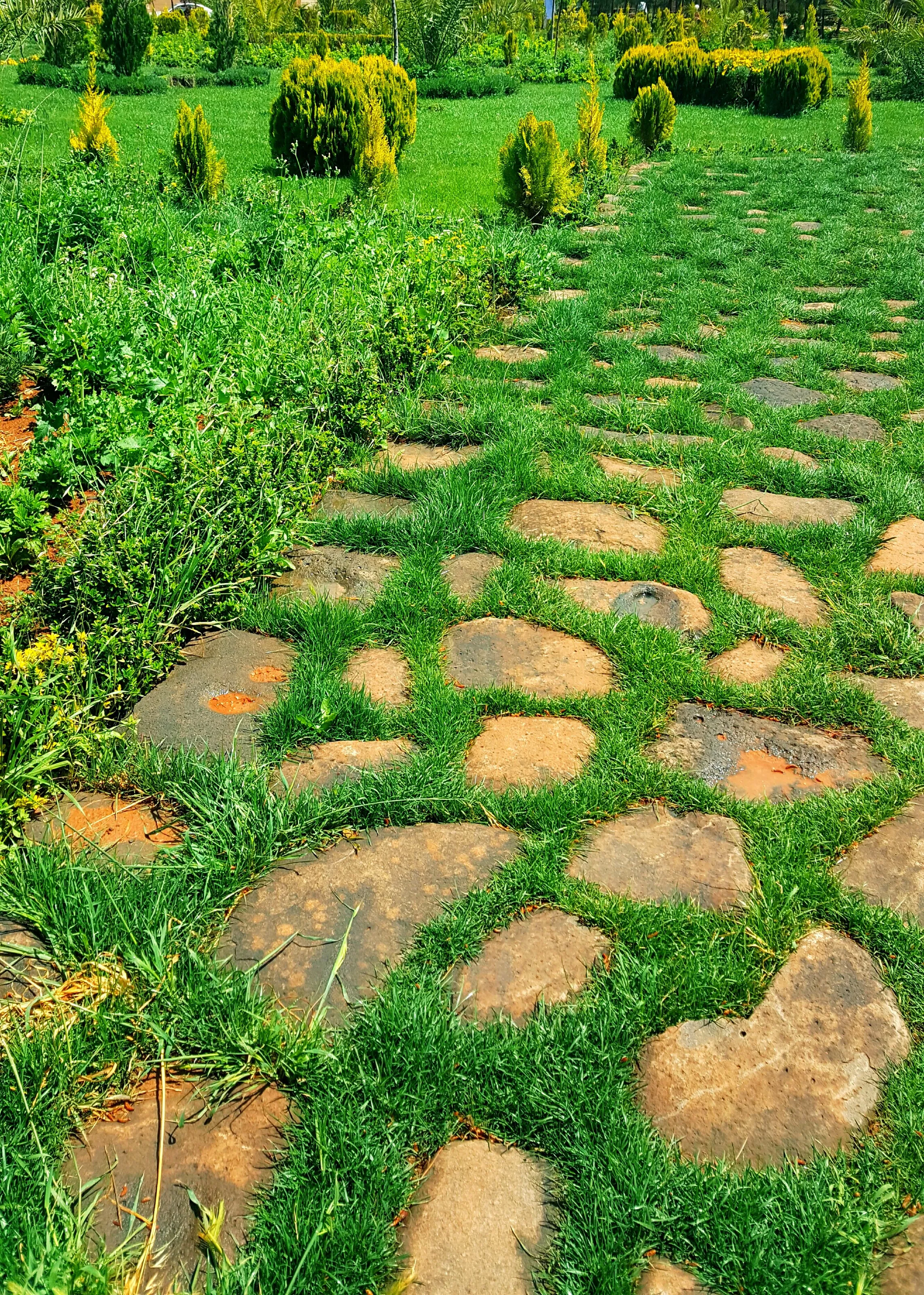 Green walkway