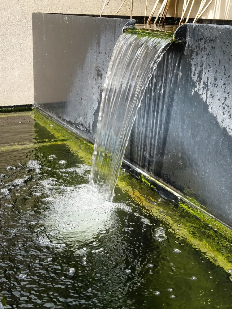 Entry 28975845