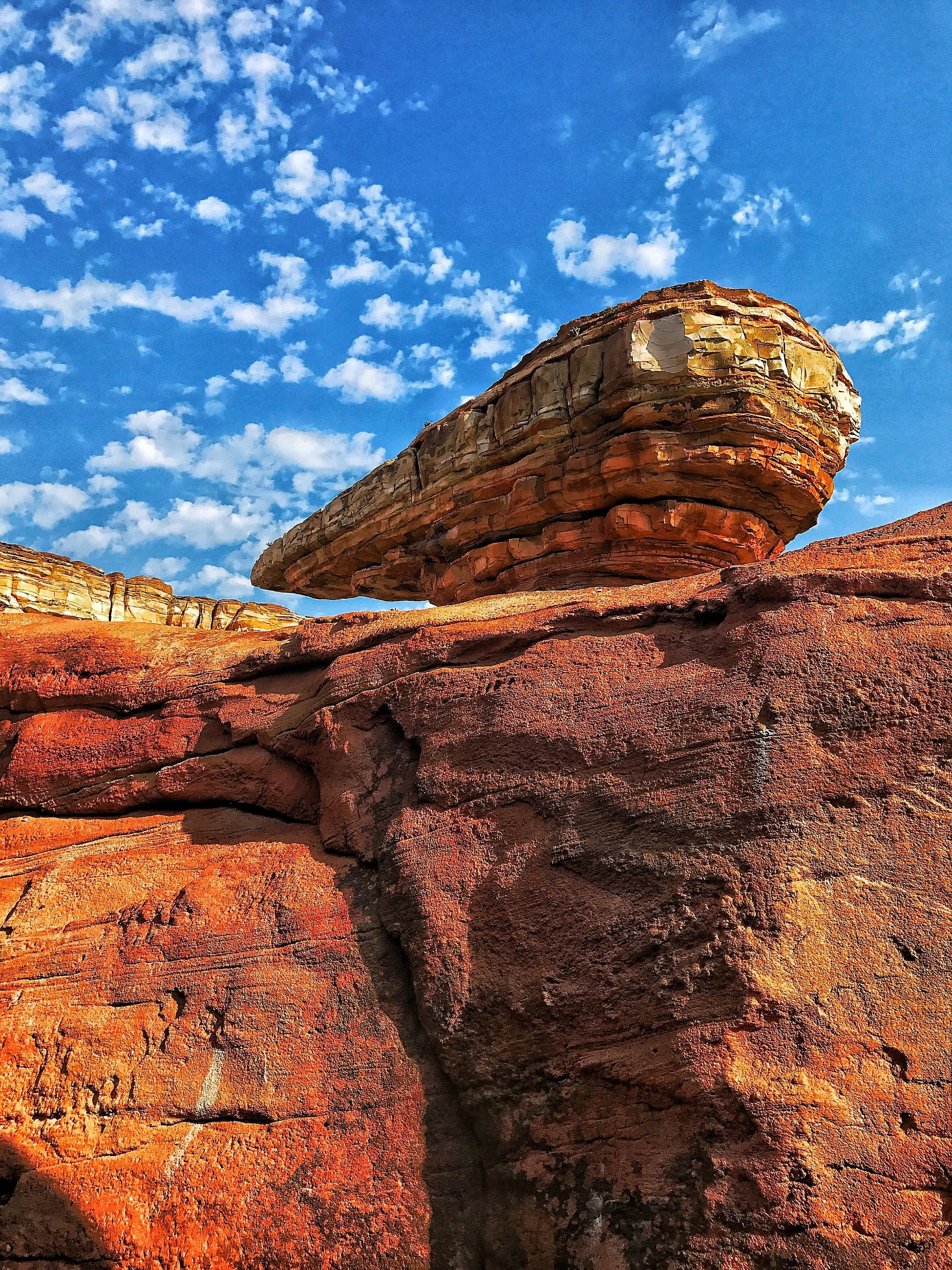 Rocks at Disney