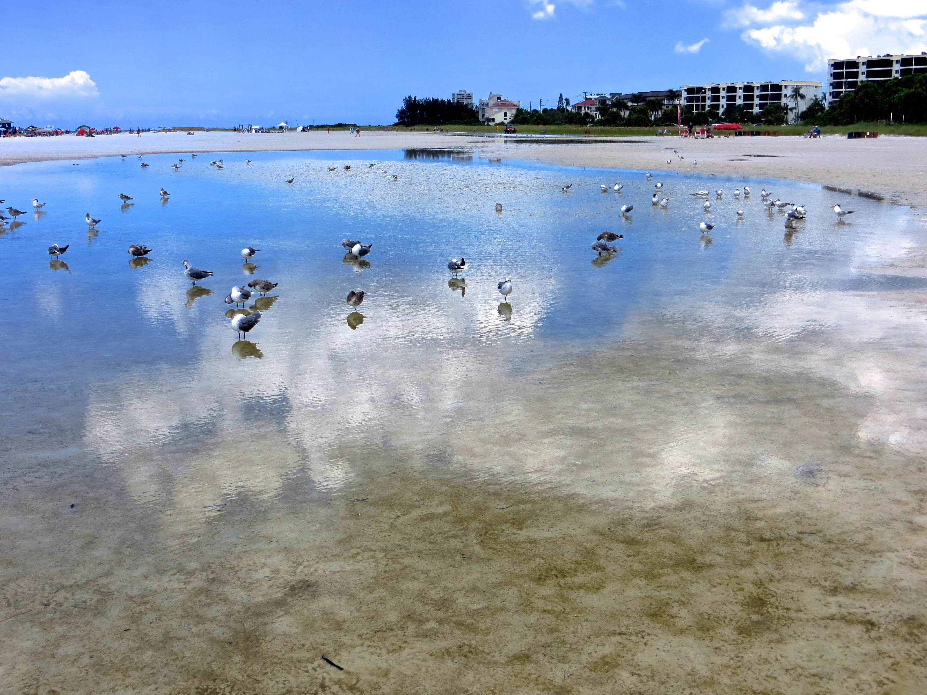 Beyond the Sea and Sky