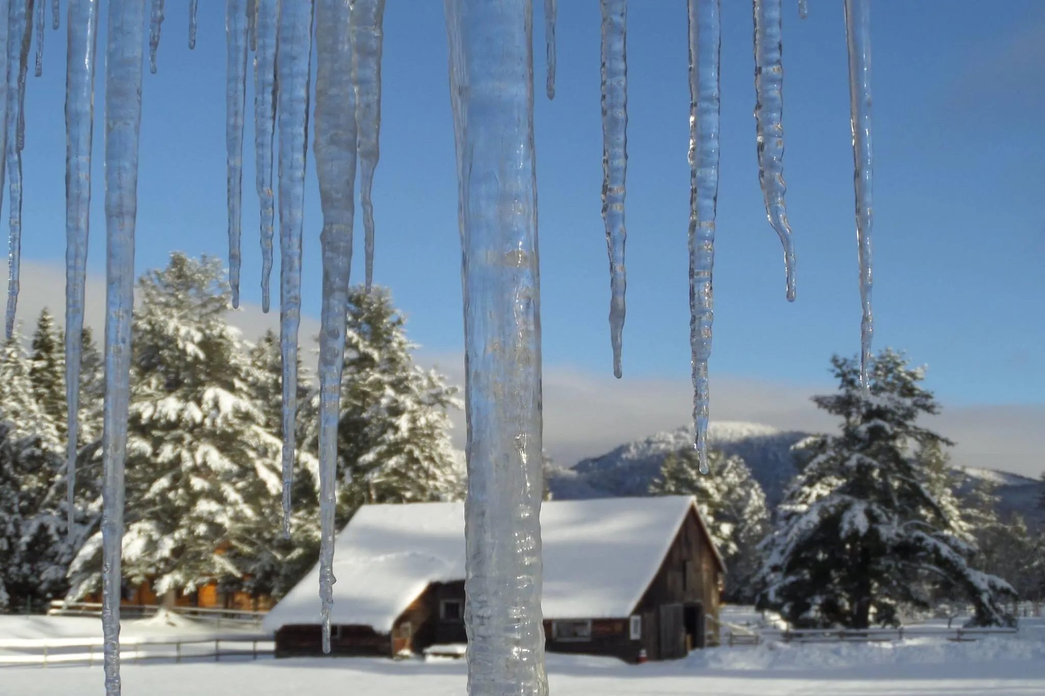 Enchanting Winter Day
