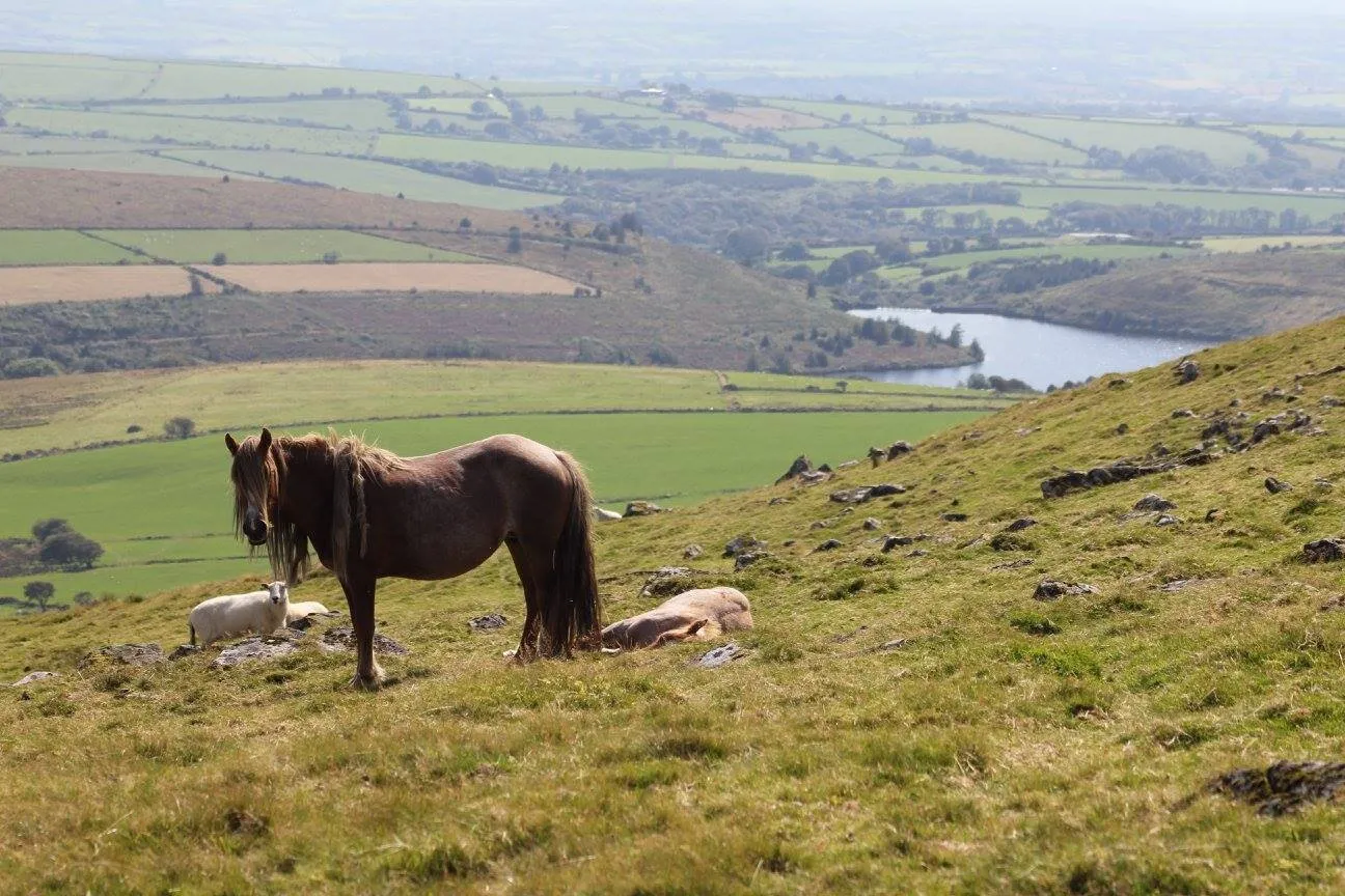 Welsh Hills
