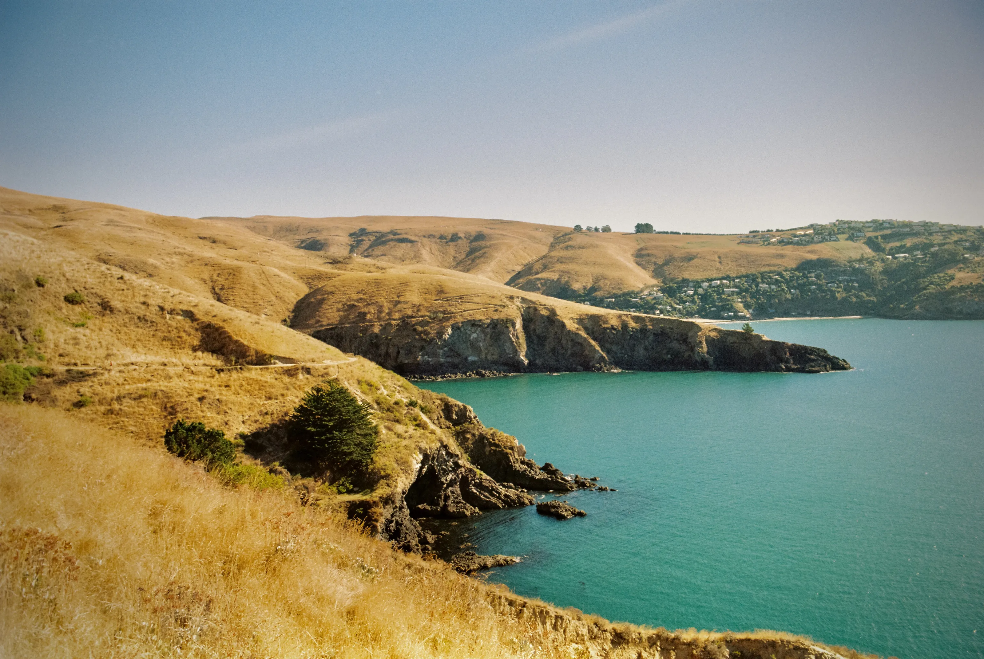 Godley Head Cliffs