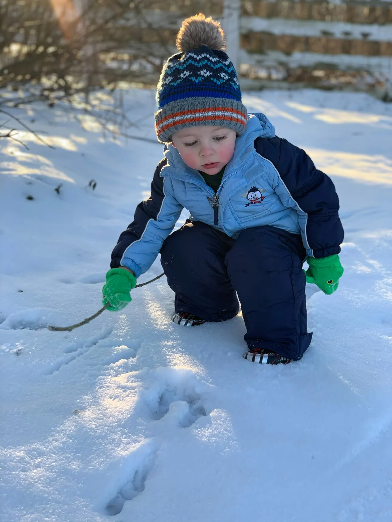Winter Wonder