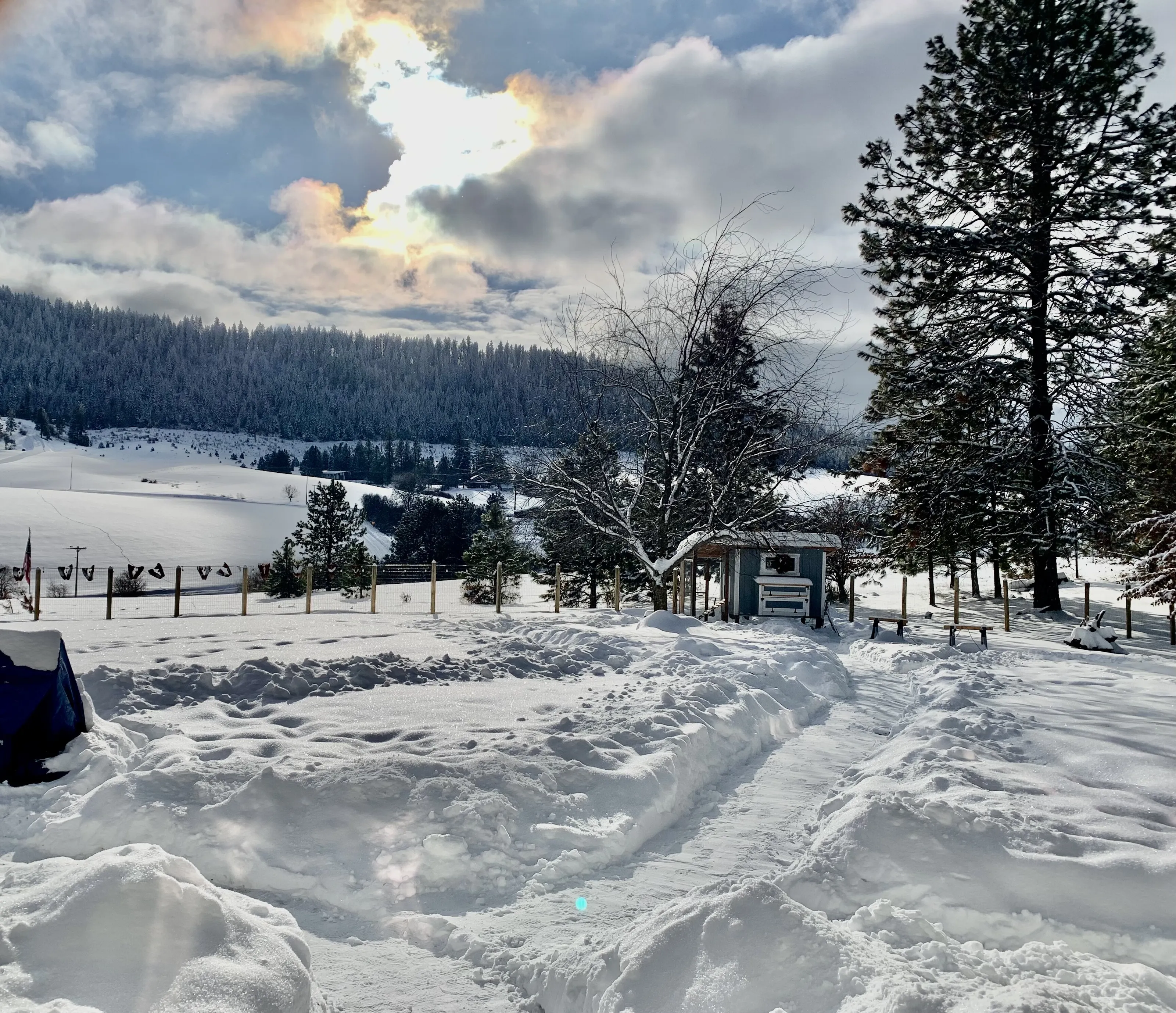 December in North Idaho
