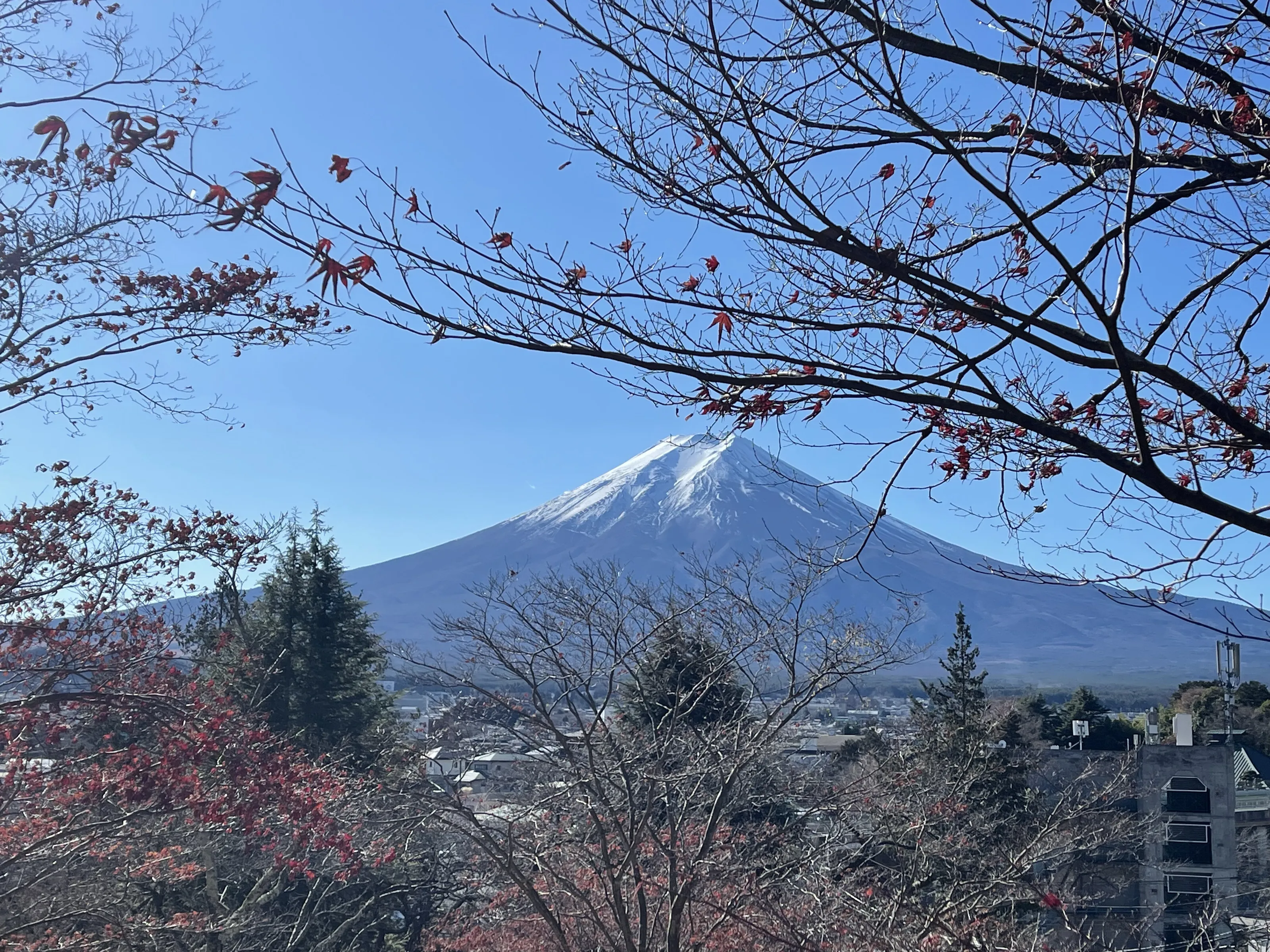 Mt. Fuji
