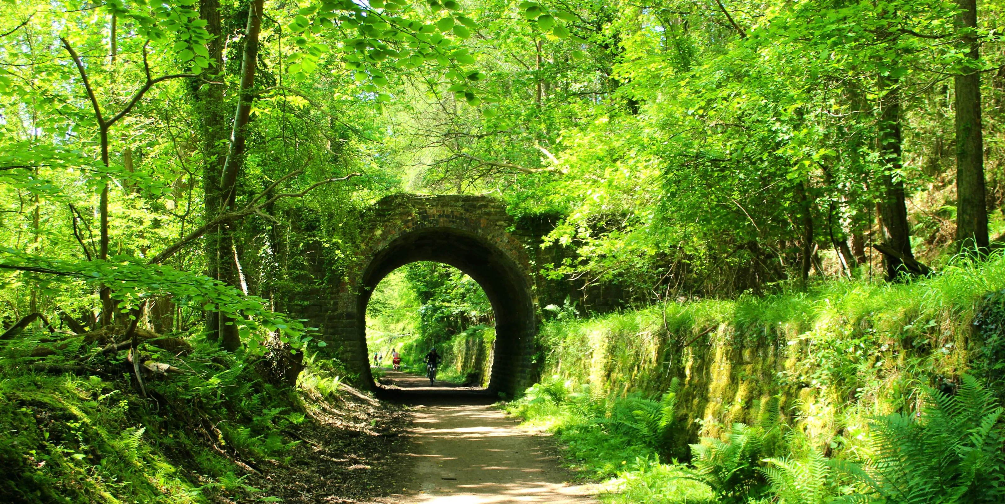Bridge