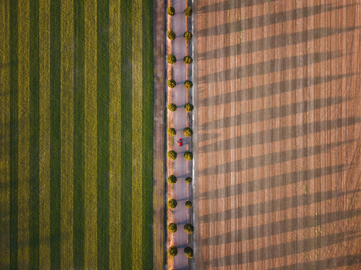 country lines
