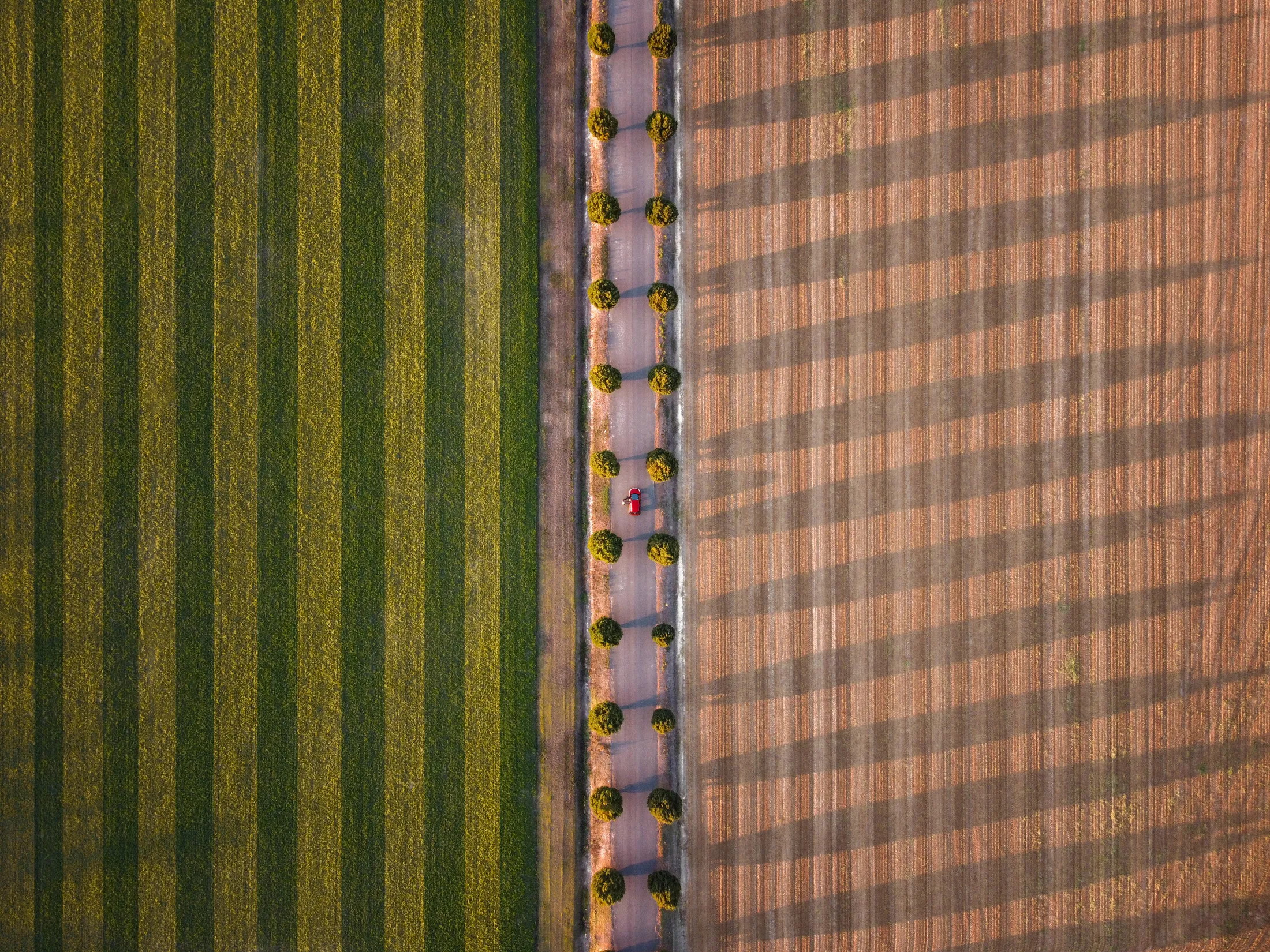 country lines