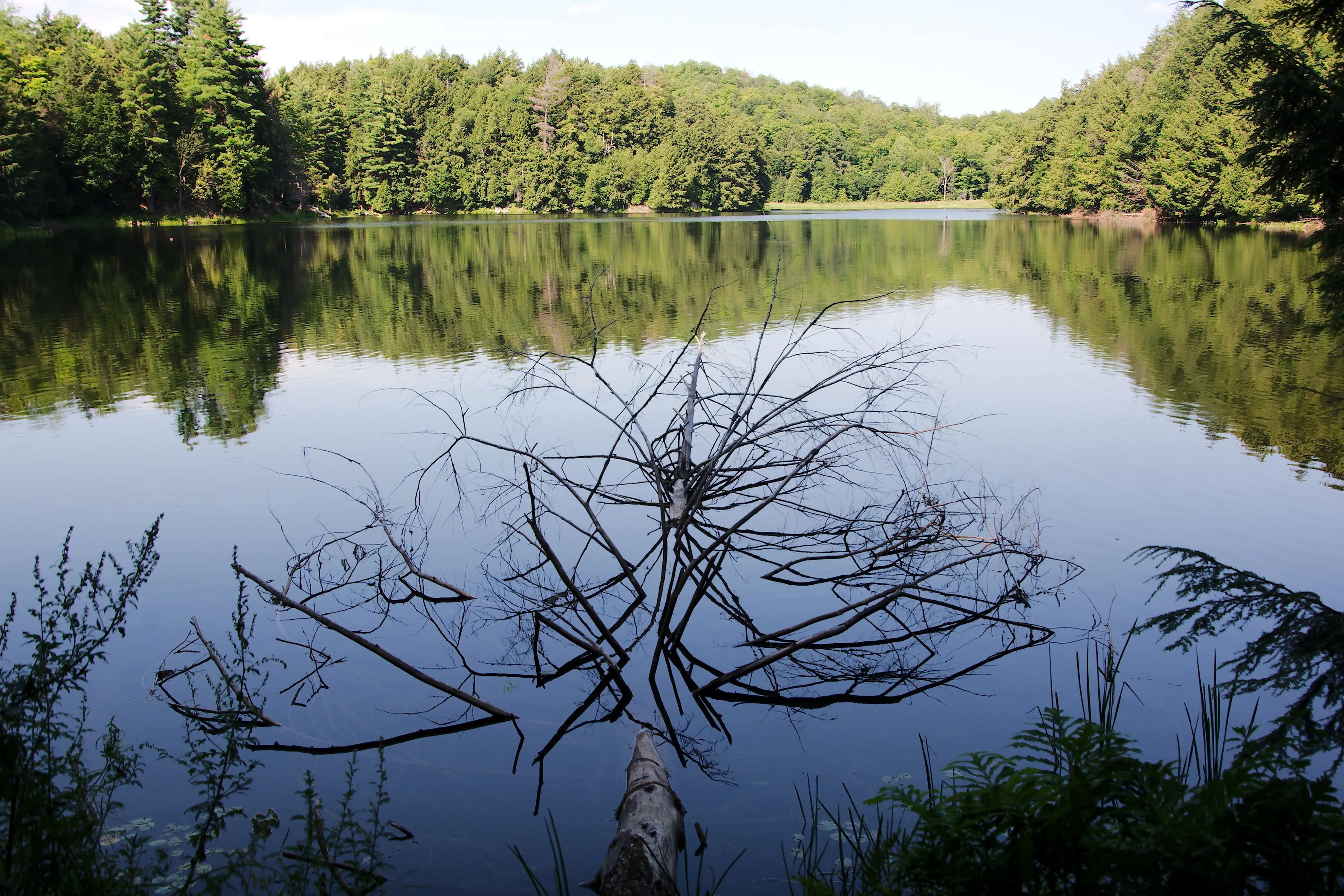 Gatineau Park