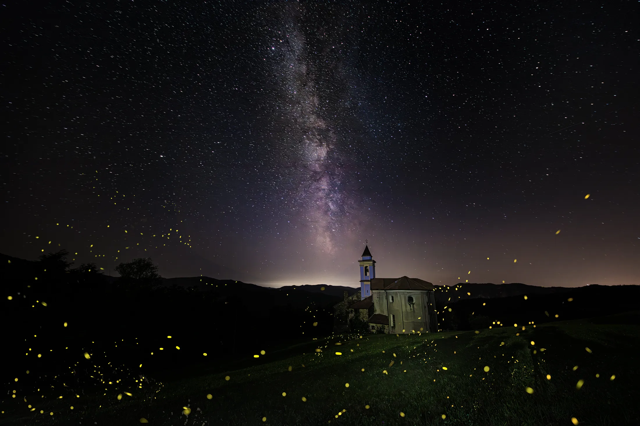 fireflies meet the stars