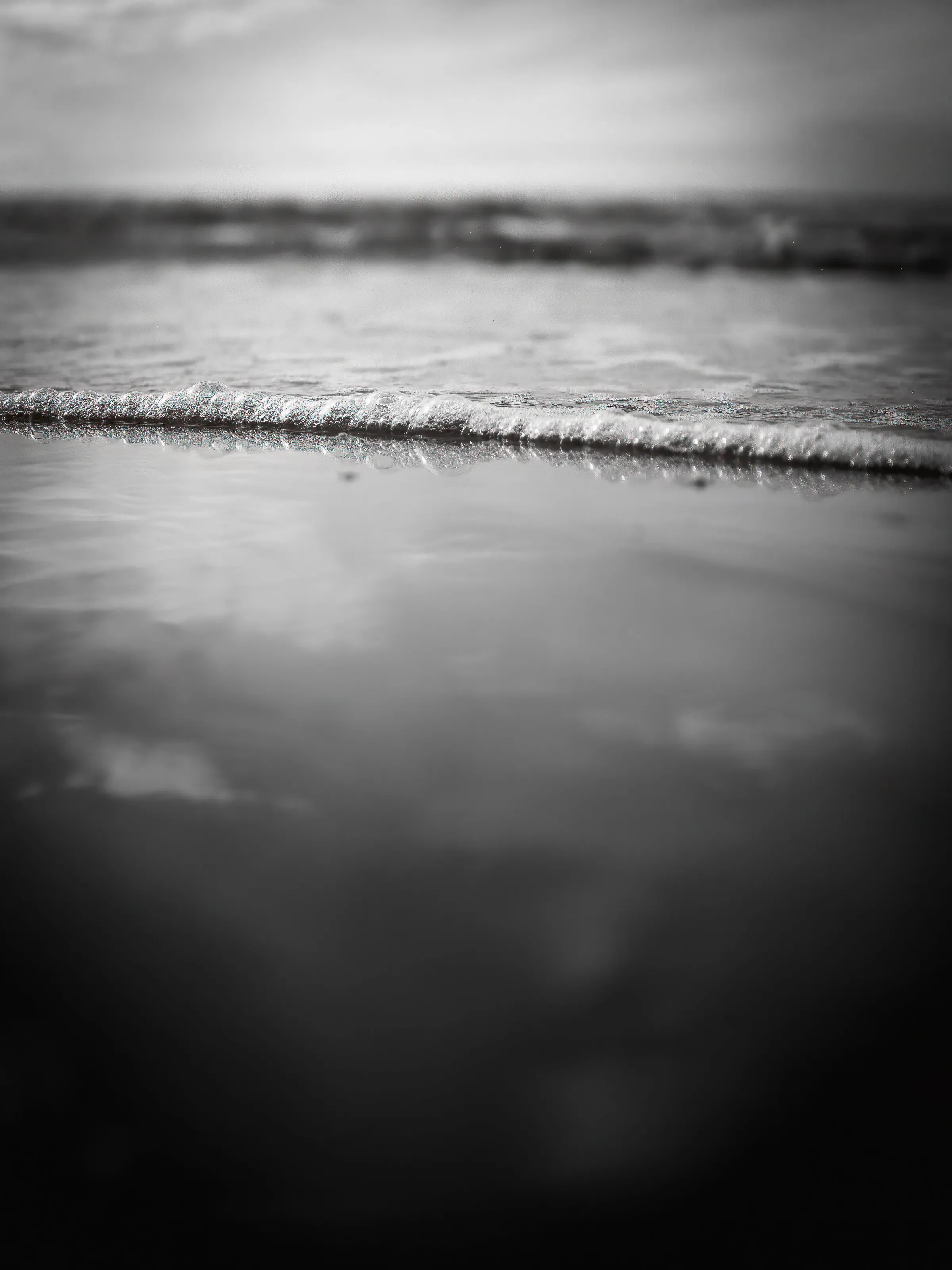 Micro landscape on the beach