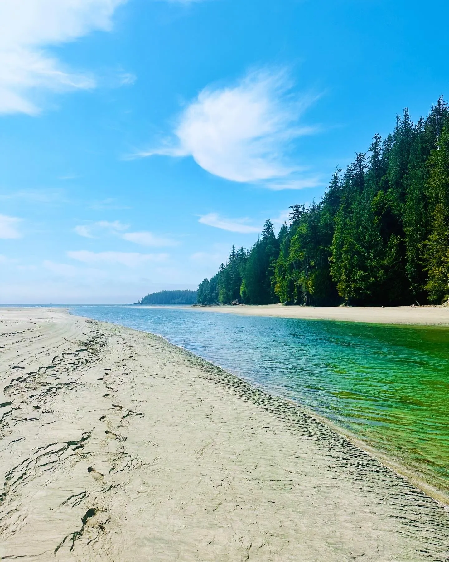 The Pachena River