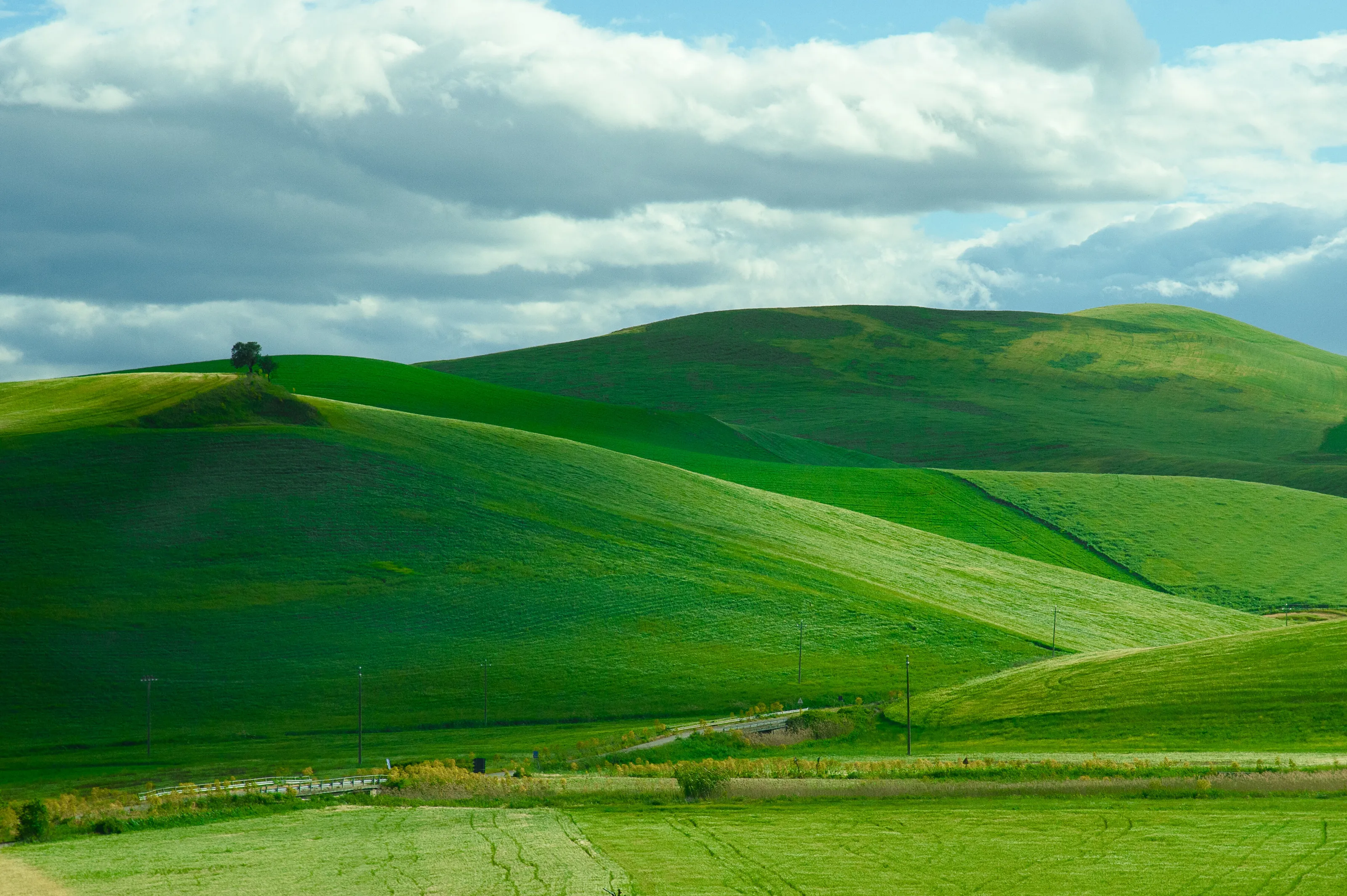 Grass land