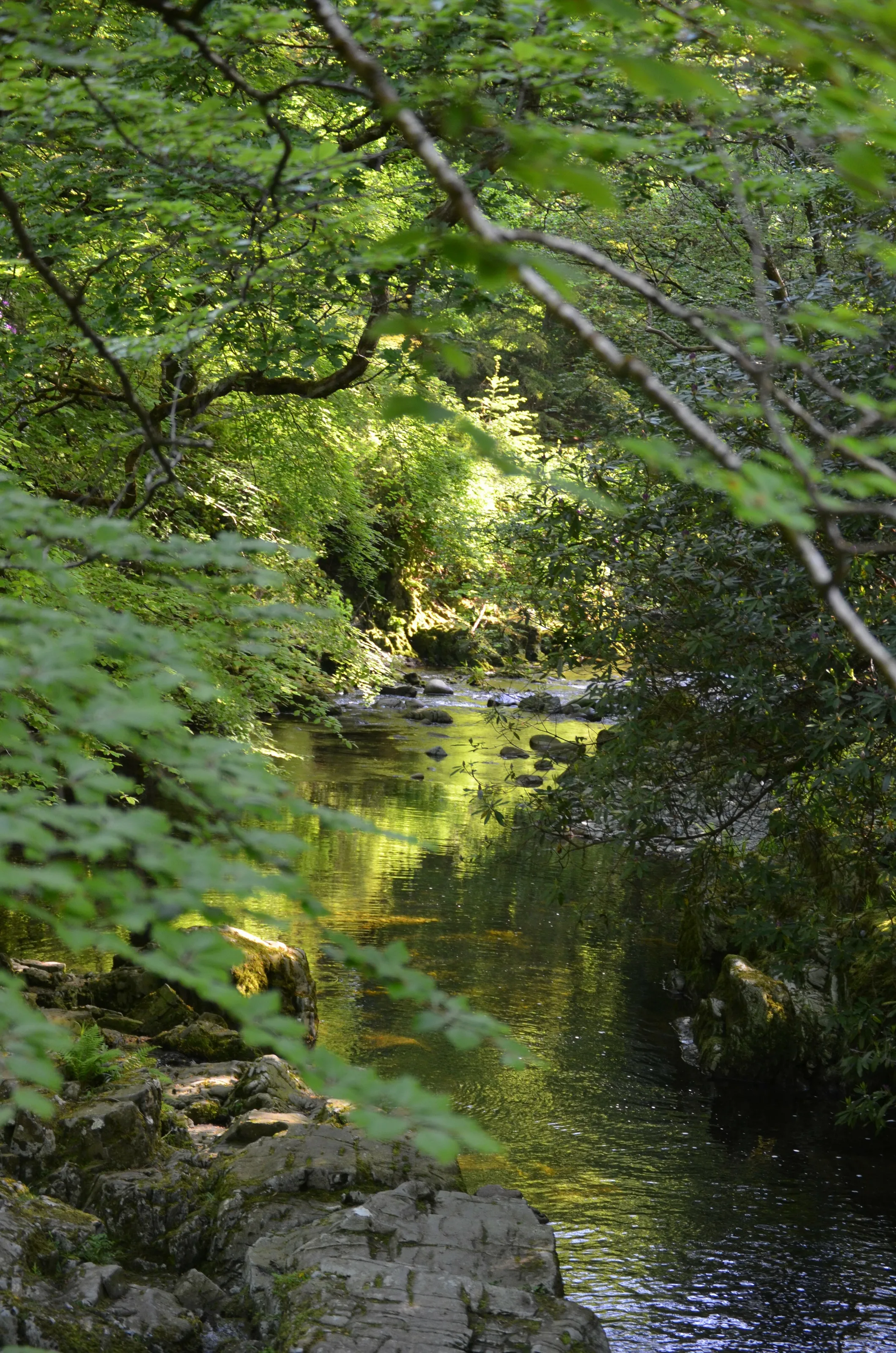 light on water