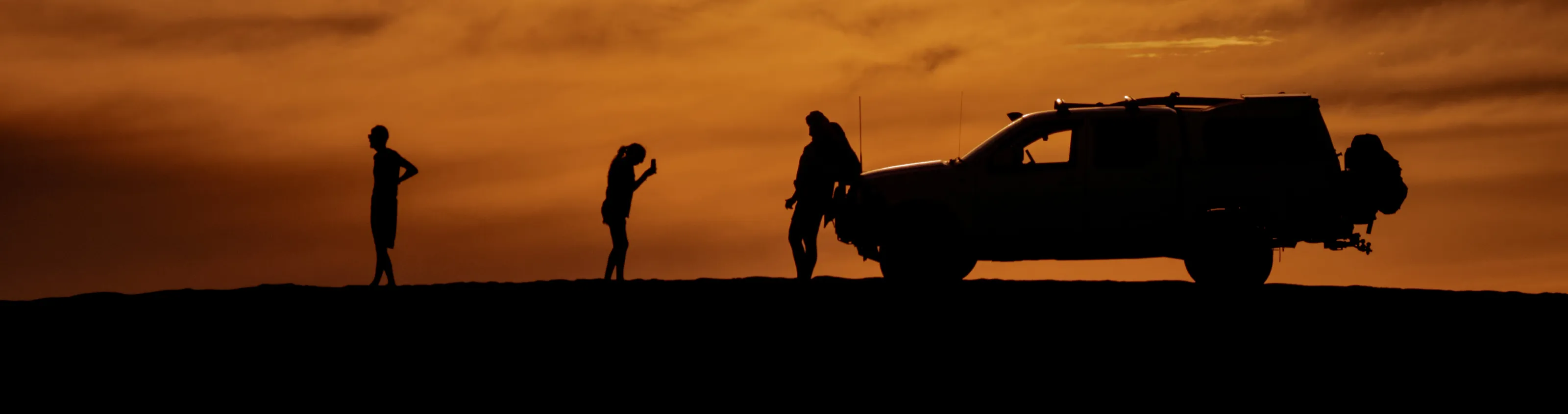 Banner image