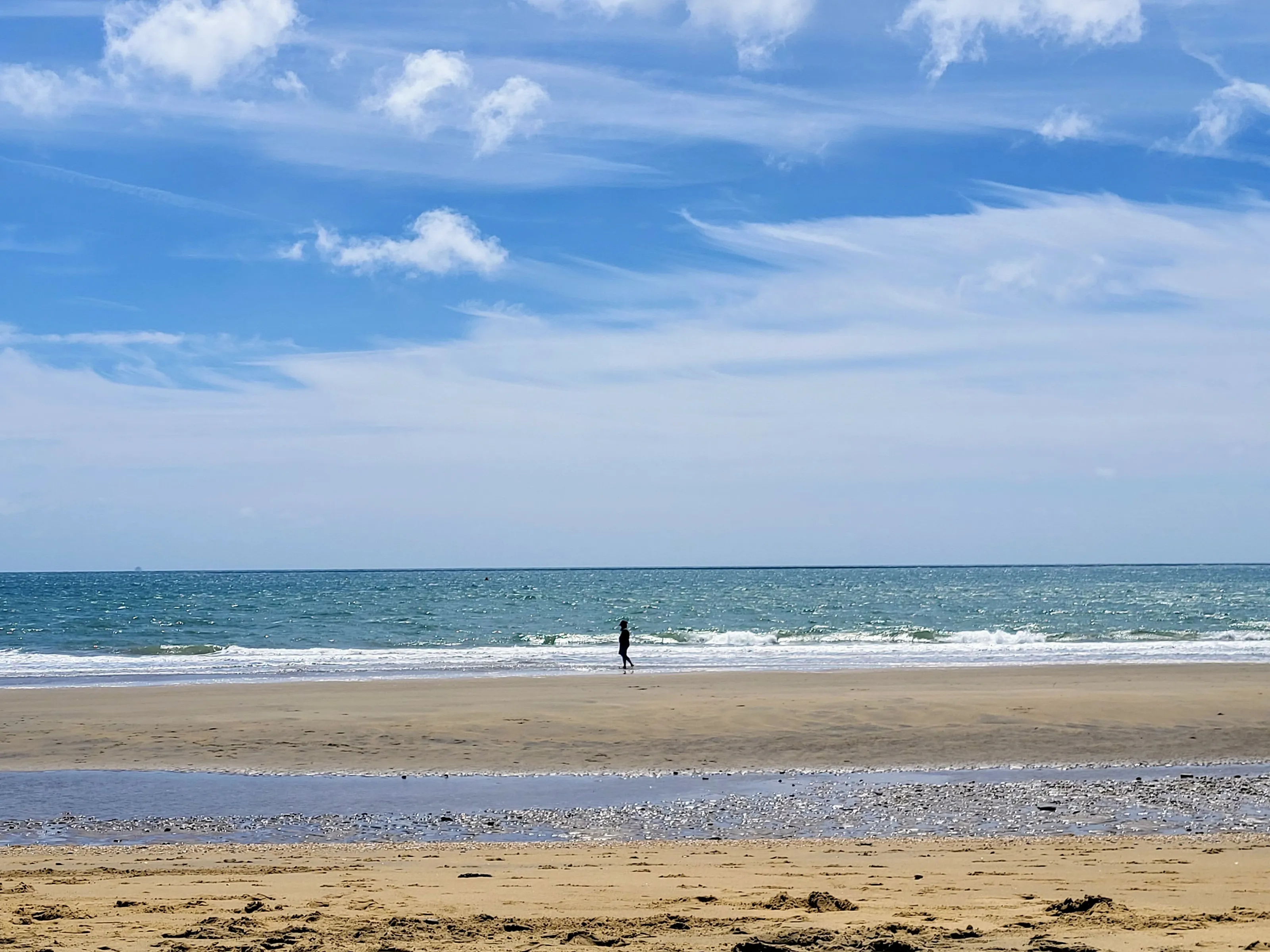 Coastal Contemplation