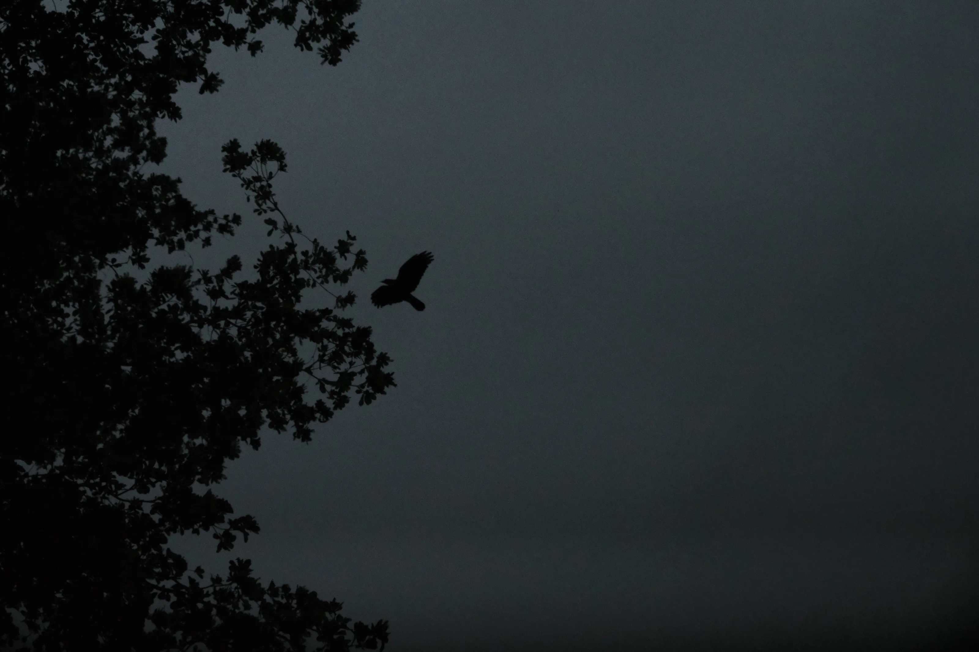 Crow Landing